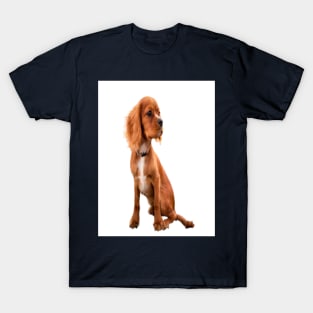 Dog with long ears T-Shirt